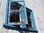 fish-coop-taree 002